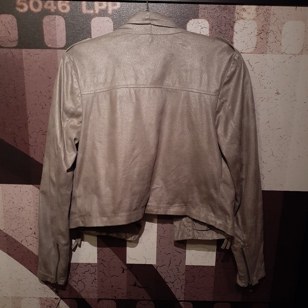 Cascade Suede Silver Jacket - Picture 6 of 7